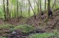 Franciszek S., nacido en 1935 : “En el bosque, 3 hombres requisicionados en Hadle por los sołtys cavaron la fosa. Pude ver el fusilamiento desde detrás de los árboles”. ©Piotr Malec/Yahad - In Unum